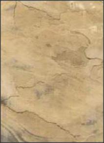 Gold Natural Slate Stone