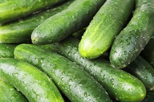 Buyers Brand Common Cucumber, Certification : ISO