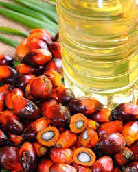 Common Refined Palm Oil, Packaging Type : Light Yellow for Cooking