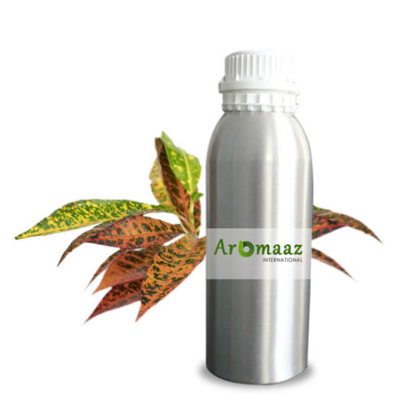 Croton Essential Oil