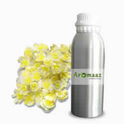 Litsea Cubeba Essential Oil