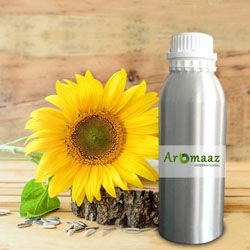 Sunflower Carrier Oil