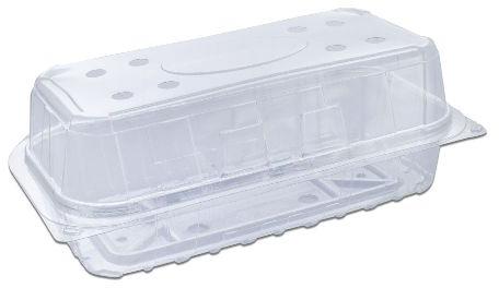 Clear Ventilated Rectangular Box Flat Bottom W/ Hinged Lid