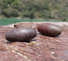 Stone Narmadeshwar Shivalinga