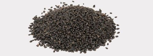 KGCPL Basil Seeds, Packaging Type : 20-50Kg Bags