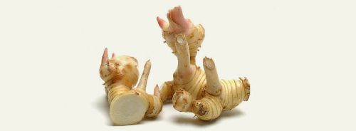 Galangal Root