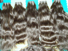 Royal Hair, Size : 08'-32'