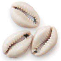 Organic Material Natural Cowrie Shell, Style : Antique Imitation