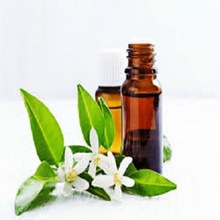 Neroli Oil, Packaging Type : Yellow or Brown
