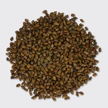 Cassia Tora Seeds