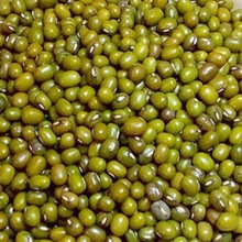 Common Green Moong Lentils