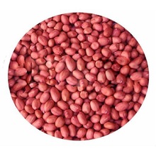 Raw Common Peanut Kernel Java, For Snack, Style : Dried