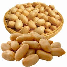 PAPO Roasted Peanut, Certification : ISO/SGS/HALAL