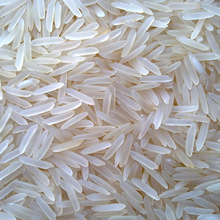 Hard Sharbati Raw Basmati Rice, Certification : ISO, SGS, Halal, APEDA, DCC