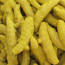 PAPO Raw Turmeric Finger, Certification : FDA, ISO, SGS, HALAL, FDA