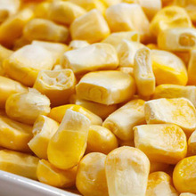 Yellow Corn, For Cattle, Chicken