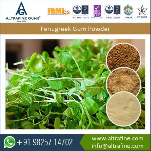 Organic Fenugreek Gum