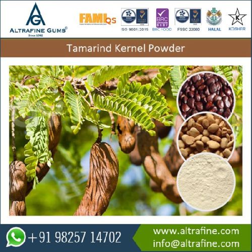 AFG Tamarind Seed Gum Powder, Packaging Type : Bag