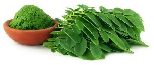 Organic Fresh Moringa Leaf Powder, For Cosmetics, Medicines Products, Packaging Type : Plastic Packet