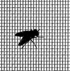 Insect & Fly Proof Wire Mesh, Style : Plain