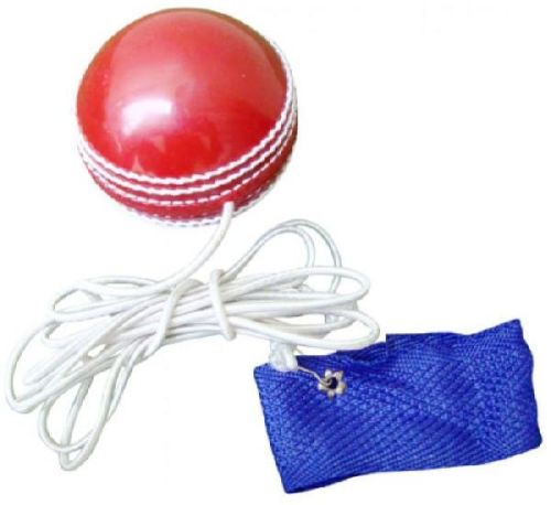 Return Training Ball