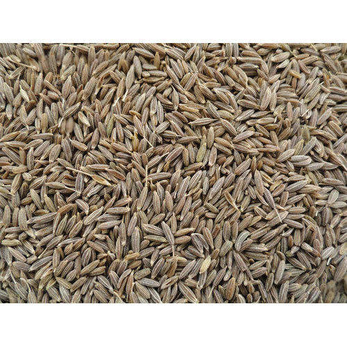 Dried Cumin Seed, For Cooking, Feature : Non Harmful, Premium Quality