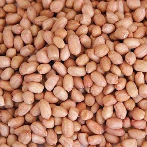 Java Peanut Kernel, For Direct Consumption, Feature : Fine Taste, Long Shelf Life