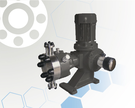 Libra Series Hydraulic Double Diaphragm Metering Pump