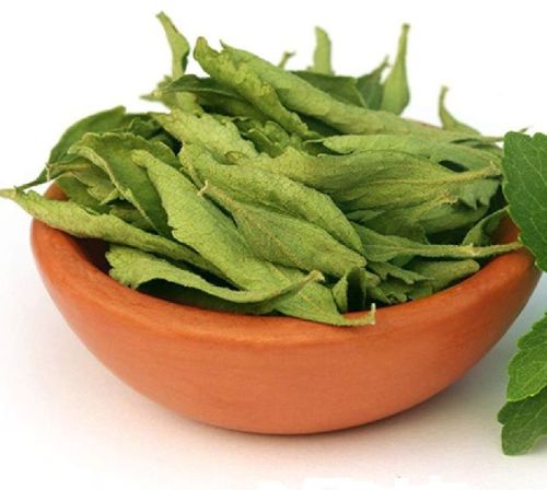 Dried Stevia Leaves for Medicinal Herb