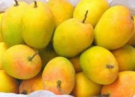 Organic Fresh Alphonso Mangoes, Color : Yellow