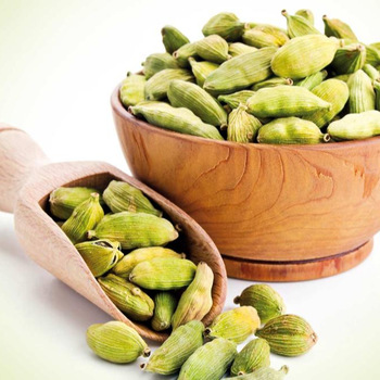 GREEN TEA CARDAMOM, Certification : EEC, GMP, HACCP, ISO, NOP, FSSC 22000 2011, Spice Board Of India