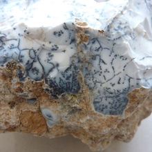 Dendritic Agate Gemstone