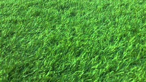 PP Artificial Grass, Color : Green