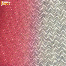 Lace Embroidered Net Fabric, For Dress, Garment, Technics : Woven