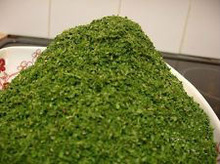 Dried Coriander, Certification : ISO