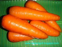 Common Carrot