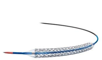 Bare Metal Drug Eluting Stent