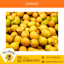 Tangy Fresh Indian Farm Lemon, Packaging Type : Bulk