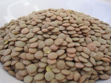 Common Whole Green Lentils