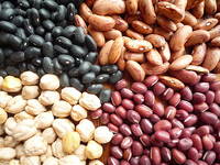 Black Kidney Beans/White Kidney Beans/Red Kidney Beans/Speckled Kidney Beans/Haricot Beans