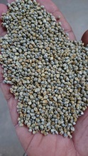 Shubhlaxmi Floured Millet Seeds, Certification : Non GMO