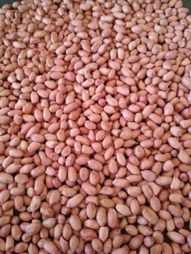 Groundnut, Style : Kernels