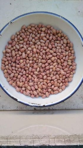 Java Peanuts, Packaging Size : 25Kg, 50Kg