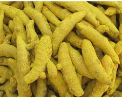 Raw turmeric finger, Shelf Life : 12 Months
