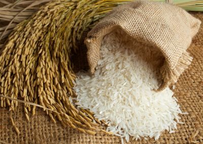 Hard Basmati Rice, Packaging Size : 10kg, 20kg, 25kg, Etc