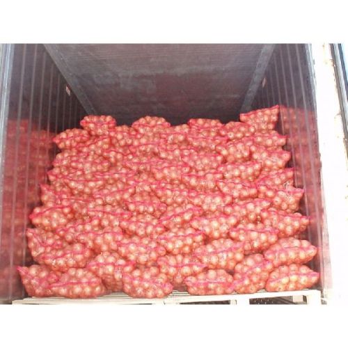 Organic Fresh Pink Onion, For Cooking, Packaging Size : 10kg, 25kg, Etc