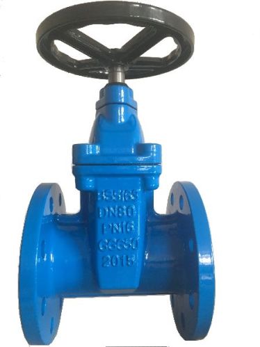 Ductile iron GGG50 Soft Seat Gate Valve 50-1200mm