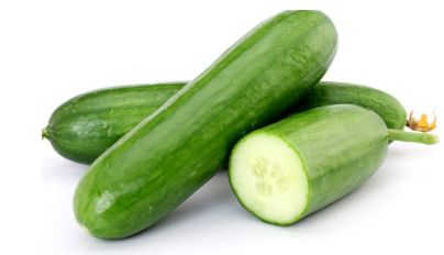 Organic Fresh Cucumber,fresh Cucumber