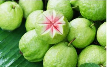 Fresh Guava, Color : Green