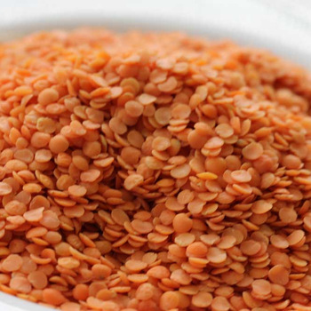 Common Dried Red Lentils